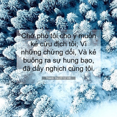 Picture 07 - Thánh Thi 27:12 VIE - Chớ phó tôi cho ý muốn kẻ cừu địch - Bible Verse Picture