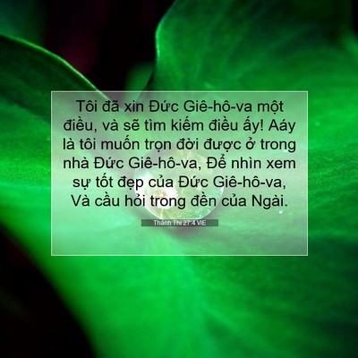 Picture 07 - Thánh Thi 27:4 VIE - Tôi đã xin Đức Giê-hô-va một điều, - Bible Verse Picture