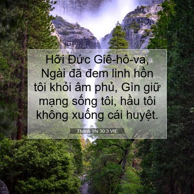 Picture 07 - Thánh Thi 30:3 VIE - Hỡi Đức Giê-hô-va, Ngài đã đem linh - Bible Verse Picture