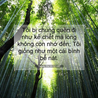 Picture 07 - Thánh Thi 31:12 VIE - Tôi bị chúng quên đi như kẻ chết mà - Bible Verse Picture