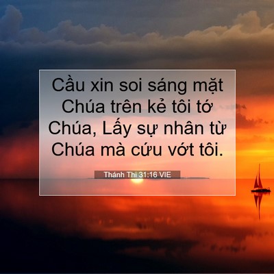 Picture 07 - Thánh Thi 31:16 VIE - Cầu xin soi sáng mặt Chúa trên kẻ tôi - Bible Verse Picture