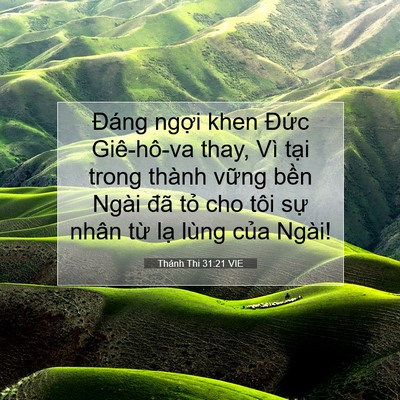 Picture 07 - Thánh Thi 31:21 VIE - Đáng ngợi khen Đức Giê-hô-va thay, Vì - Bible Verse Picture