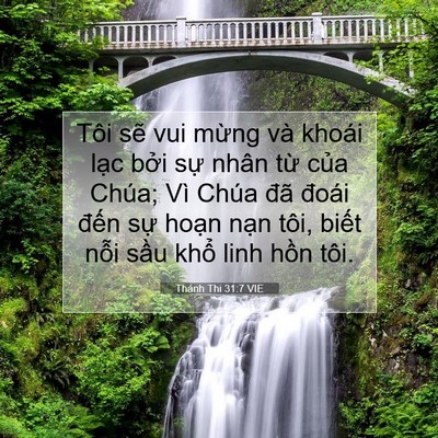 Picture 07 - Thánh Thi 31:7 VIE - Tôi sẽ vui mừng và khoái lạc bởi sự - Bible Verse Picture