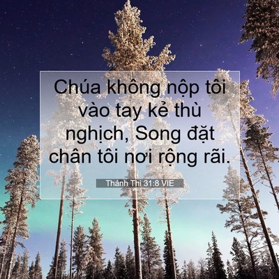 Picture 07 - Thánh Thi 31:8 VIE - Chúa không nộp tôi vào tay kẻ thù - Bible Verse Picture