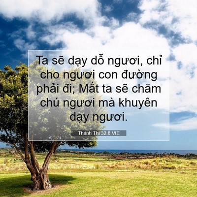 Picture 07 - Thánh Thi 32:8 VIE - Ta sẽ dạy dỗ ngươi, chỉ cho ngươi con - Bible Verse Picture