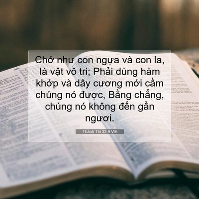 Picture 07 - Thánh Thi 32:9 VIE - Chớ như con ngựa và con la, là vật vô - Bible Verse Picture