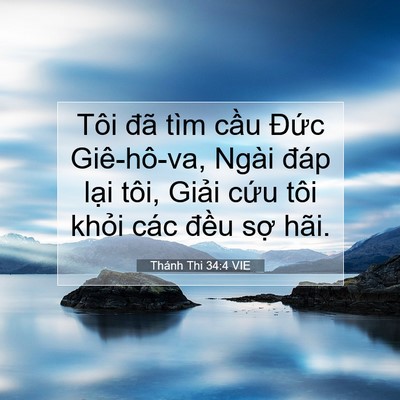 Picture 07 - Thánh Thi 34:4 VIE - Tôi đã tìm cầu Đức Giê-hô-va, Ngài - Bible Verse Picture