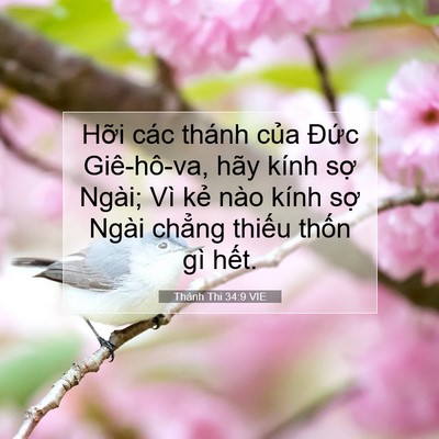 Picture 07 - Thánh Thi 34:9 VIE - Hỡi các thánh của Đức Giê-hô-va, hãy - Bible Verse Picture