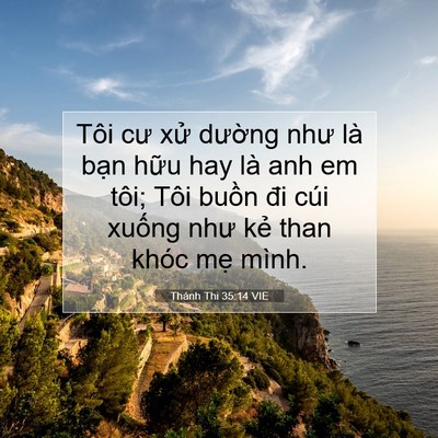 Picture 07 - Thánh Thi 35:14 VIE - Tôi cư xử dường như là bạn hữu hay - Bible Verse Picture