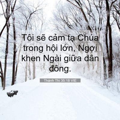 Picture 07 - Thánh Thi 35:18 VIE - Tôi sẽ cảm tạ Chúa trong hội lớn, - Bible Verse Picture