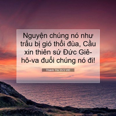 Picture 07 - Thánh Thi 35:5 VIE - Nguyện chúng nó như trấu bị gió thổi - Bible Verse Picture