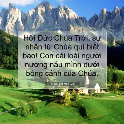 Picture 07 - Thánh Thi 36:7 VIE - Hỡi Đức Chúa Trời, sự nhân từ Chúa - Bible Verse Picture