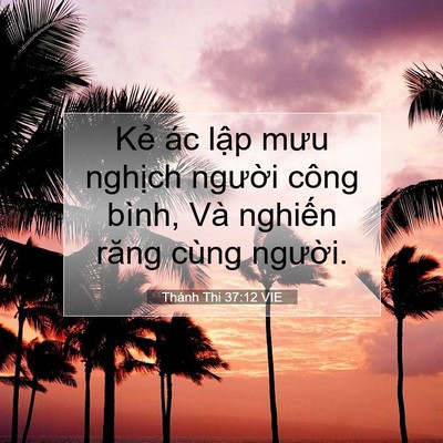 Picture 07 - Thánh Thi 37:12 VIE - Kẻ ác lập mưu nghịch người công - Bible Verse Picture