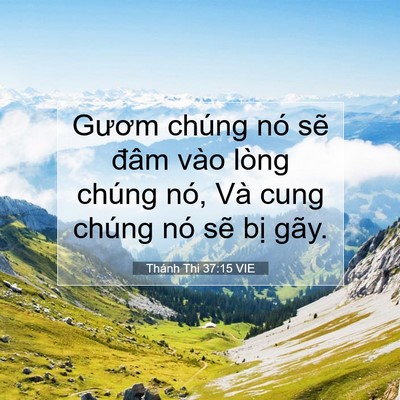 Picture 07 - Thánh Thi 37:15 VIE - Gươm chúng nó sẽ đâm vào lòng chúng - Bible Verse Picture