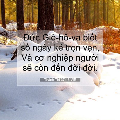 Picture 07 - Thánh Thi 37:18 VIE - Đức Giê-hô-va biết số ngày kẻ trọn - Bible Verse Picture
