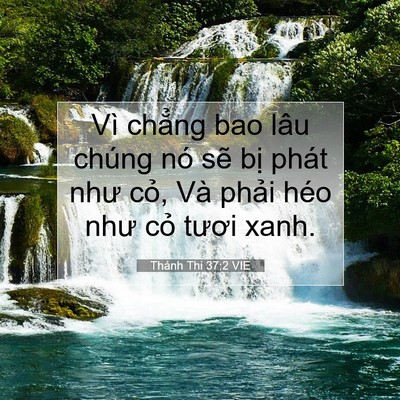 Picture 07 - Thánh Thi 37:2 VIE - Vì chẳng bao lâu chúng nó sẽ bị phát - Bible Verse Picture