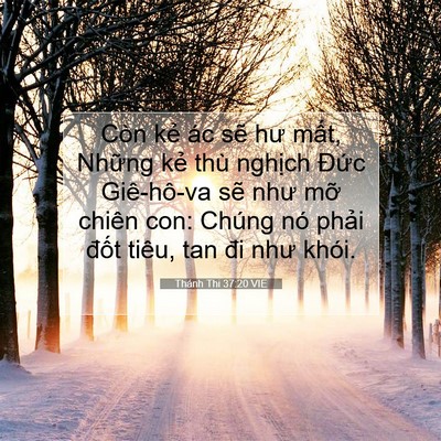 Picture 07 - Thánh Thi 37:20 VIE - Còn kẻ ác sẽ hư mất, Những kẻ thù - Bible Verse Picture