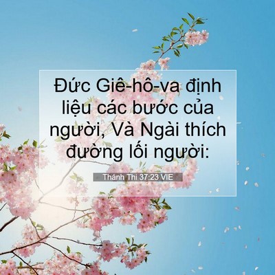 Picture 07 - Thánh Thi 37:23 VIE - Đức Giê-hô-va định liệu các bước - Bible Verse Picture