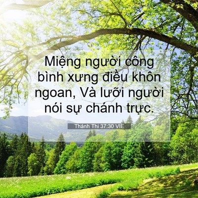 Picture 07 - Thánh Thi 37:30 VIE - Miệng người công bình xưng điều khôn - Bible Verse Picture