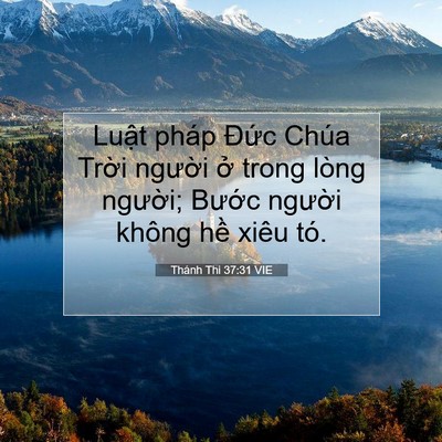 Picture 07 - Thánh Thi 37:31 VIE - Luật pháp Đức Chúa Trời người ở - Bible Verse Picture