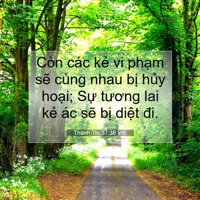 Picture 07 - Thánh Thi 37:38 VIE - Còn các kẻ vi phạm sẽ cùng nhau bị - Bible Verse Picture