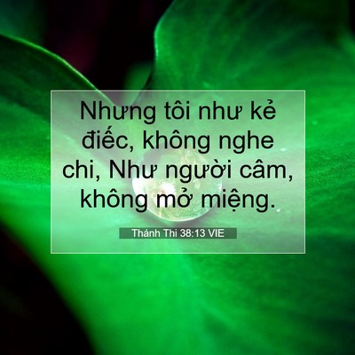 Picture 07 - Thánh Thi 38:13 VIE - Nhưng tôi như kẻ điếc, không nghe chi, - Bible Verse Picture