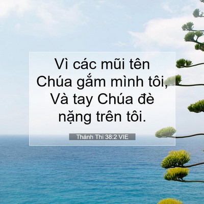 Picture 07 - Thánh Thi 38:2 VIE - Vì các mũi tên Chúa gắm mình tôi, Và - Bible Verse Picture