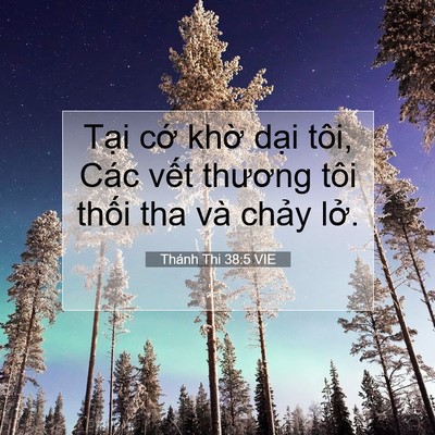 Picture 07 - Thánh Thi 38:5 VIE - Tại cớ khờ dại tôi, Các vết thương - Bible Verse Picture