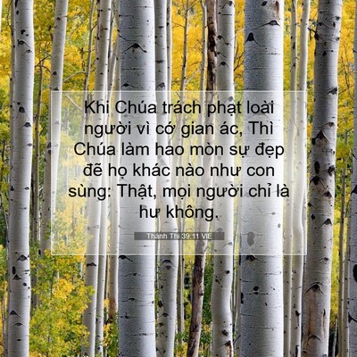 Picture 07 - Thánh Thi 39:11 VIE - Khi Chúa trách phạt loài người vì cớ - Bible Verse Picture