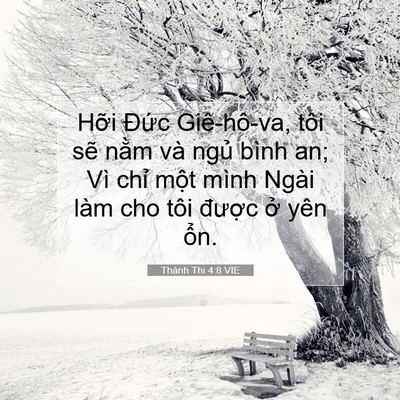 Picture 07 - Thánh Thi 4:8 VIE - Hỡi Đức Giê-hô-va, tôi sẽ nằm và - Bible Verse Picture