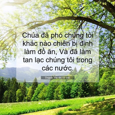 Picture 07 - Thánh Thi 44:11 VIE - Chúa đã phó chúng tôi khác nào chiên - Bible Verse Picture