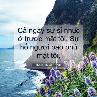 Picture 07 - Thánh Thi 44:15 VIE - Cả ngày sự sỉ nhục ở trước mặt - Bible Verse Picture