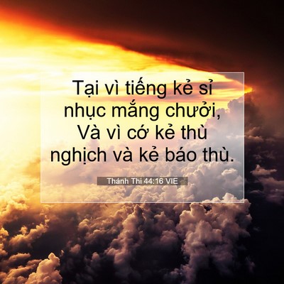 Picture 07 - Thánh Thi 44:16 VIE - Tại vì tiếng kẻ sỉ nhục mắng - Bible Verse Picture