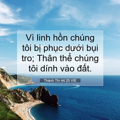 Picture 07 - Thánh Thi 44:25 VIE - Vì linh hồn chúng tôi bị phục dưới - Bible Verse Picture