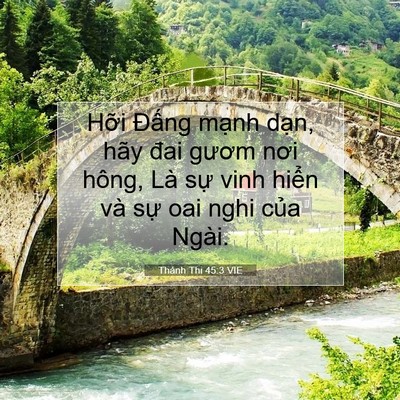 Picture 07 - Thánh Thi 45:3 VIE - Hỡi Đấng mạnh dạn, hãy đai gươm nơi - Bible Verse Picture
