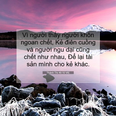 Picture 07 - Thánh Thi 49:10 VIE - Vì người thấy người khôn ngoan chết, - Bible Verse Picture