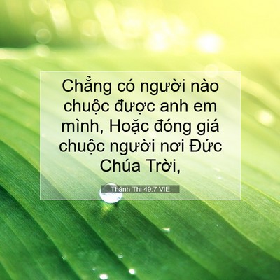 Picture 07 - Thánh Thi 49:7 VIE - Chẳng có người nào chuộc được anh em - Bible Verse Picture