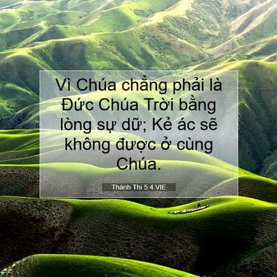 Picture 07 - Thánh Thi 5:4 VIE - Vì Chúa chẳng phải là Đức Chúa Trời - Bible Verse Picture