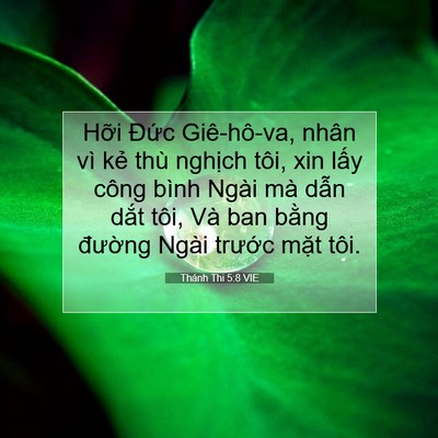 Picture 07 - Thánh Thi 5:8 VIE - Hỡi Đức Giê-hô-va, nhân vì kẻ thù - Bible Verse Picture