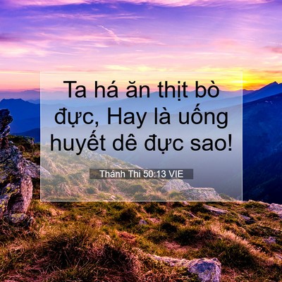 Picture 07 - Thánh Thi 50:13 VIE - Ta há ăn thịt bò đực, Hay là uống - Bible Verse Picture