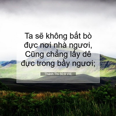 Picture 07 - Thánh Thi 50:9 VIE - Ta sẽ không bắt bò đực nơi nhà - Bible Verse Picture