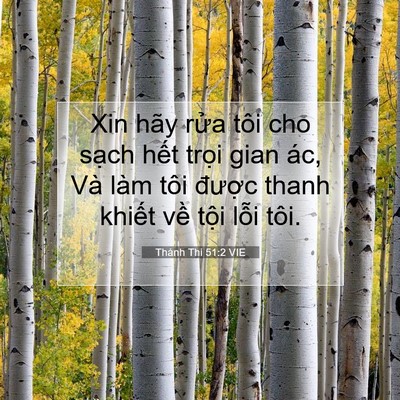 Picture 07 - Thánh Thi 51:2 VIE - Xin hãy rửa tôi cho sạch hết trọi gian - Bible Verse Picture