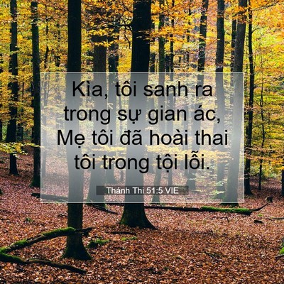 Picture 07 - Thánh Thi 51:5 VIE - Kìa, tôi sanh ra trong sự gian ác, Mẹ tôi - Bible Verse Picture