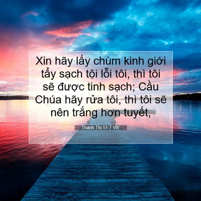 Picture 07 - Thánh Thi 51:7 VIE - Xin hãy lấy chùm kinh giới tẩy sạch - Bible Verse Picture