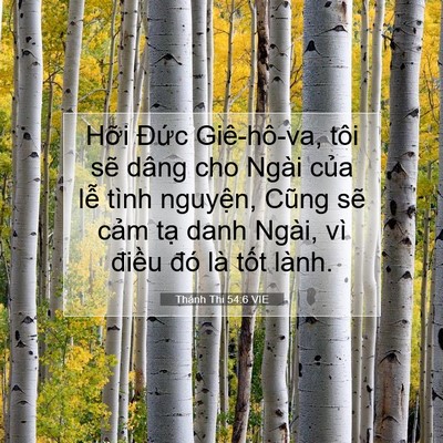 Picture 07 - Thánh Thi 54:6 VIE - Hỡi Đức Giê-hô-va, tôi sẽ dâng cho - Bible Verse Picture