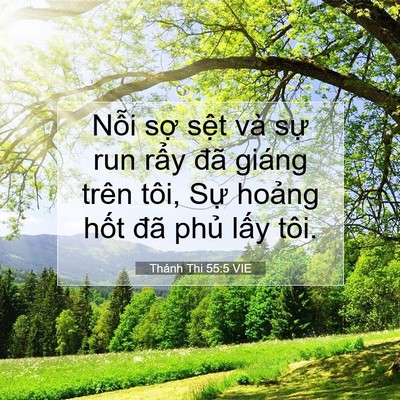 Picture 07 - Thánh Thi 55:5 VIE - Nỗi sợ sệt và sự run rẩy đã giáng - Bible Verse Picture
