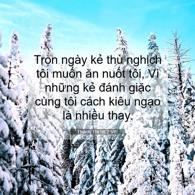 Picture 07 - Thánh Thi 56:2 VIE - Trọn ngày kẻ thù nghịch tôi muốn ăn - Bible Verse Picture