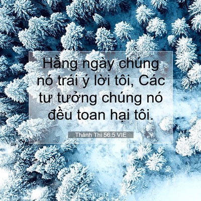 Picture 07 - Thánh Thi 56:5 VIE - Hằng ngày chúng nó trái ý lời tôi, Các - Bible Verse Picture