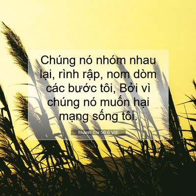 Picture 07 - Thánh Thi 56:6 VIE - Chúng nó nhóm nhau lại, rình rập, nom - Bible Verse Picture