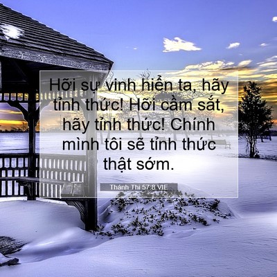 Picture 07 - Thánh Thi 57:8 VIE - Hỡi sự vinh hiển ta, hãy tỉnh thức! - Bible Verse Picture
